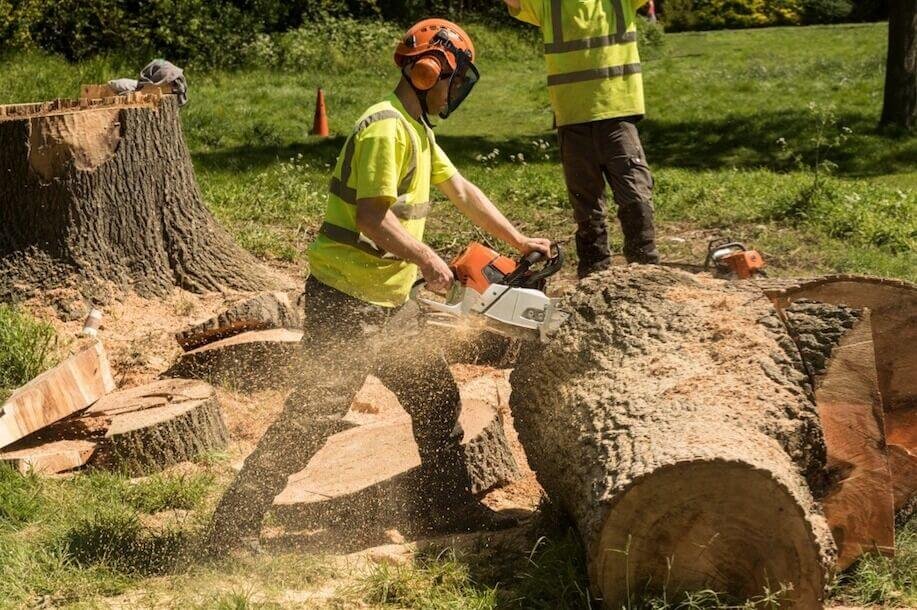 stump grinding